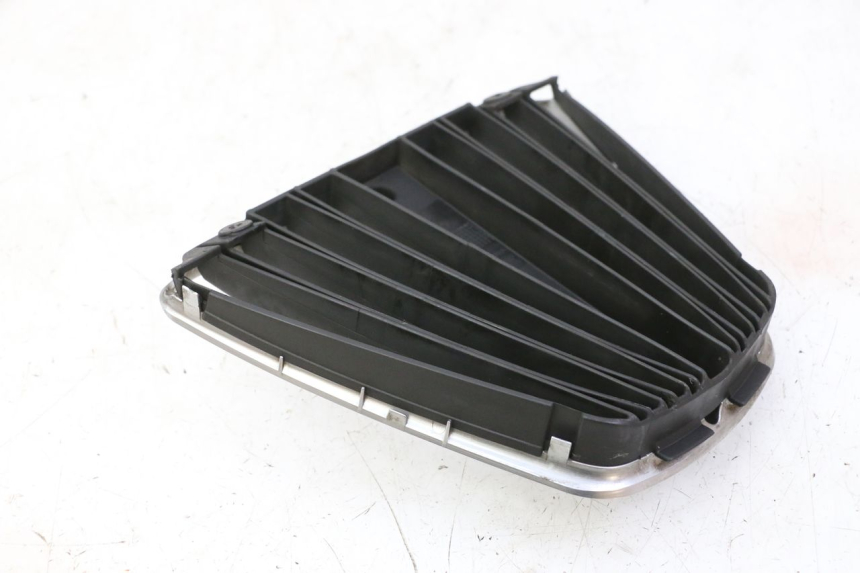 photo de RADIATOR COVER PIAGGIO MP3 RL 250 (2007 - 2010)
