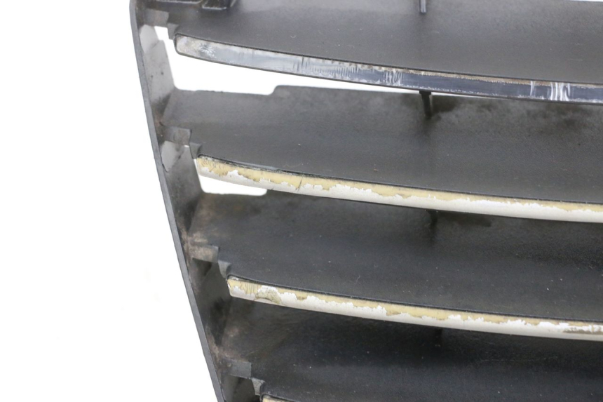 photo de RADIATOR GRILLE PIAGGIO MP3 125 (2006 - 2014)