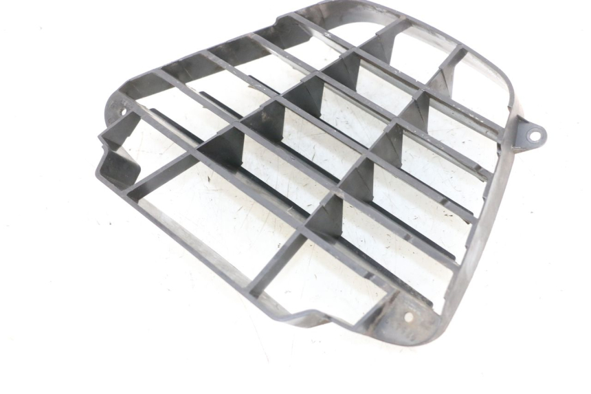 photo de RADIATOR GRILLE PIAGGIO MP3 125 (2006 - 2014)