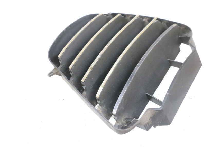 photo de RADIATOR GRILLE PIAGGIO MP3 125 (2006 - 2014)