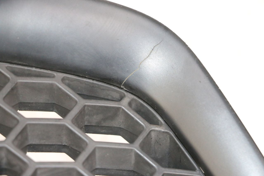 photo de RADIATOR COVER PIAGGIO MP3 500 (2016 - 2018) - Zoom on usage condition