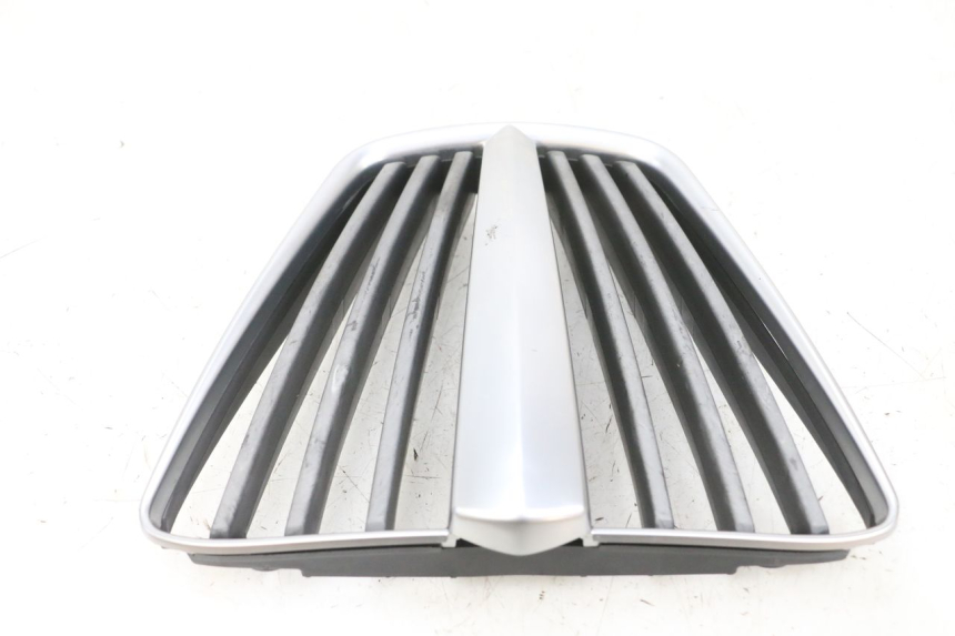 photo de RADIATOR COVER PIAGGIO MP3 RL 250 (2007 - 2010) - Alternative perspective