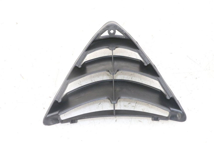 photo de RADIATOR COVER PIAGGIO NRG POWER PUREJET 50 (2018 - 2021)