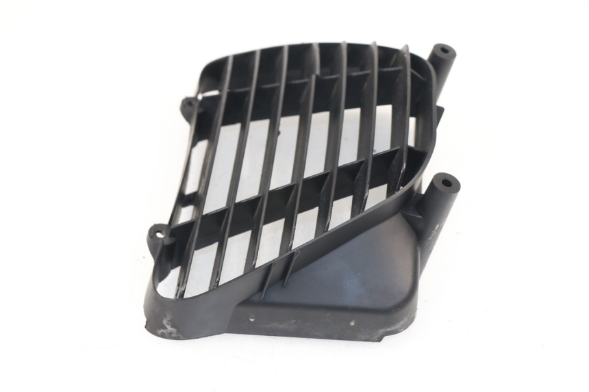 photo de RADIATOR GRILLE PEUGEOT ELYSEO 125 (1999 - 2004)