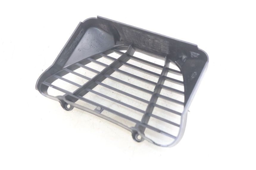 photo de RADIATOR GRILLE PEUGEOT ELYSEO 125 (1999 - 2004)