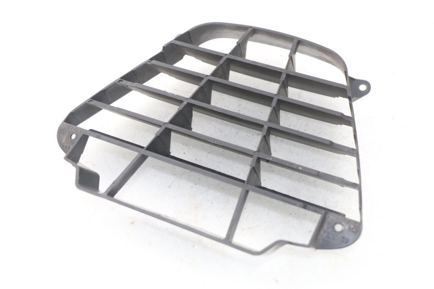 photo de RADIATOR GRILLE PIAGGIO MP3 125 (2006 - 2014)