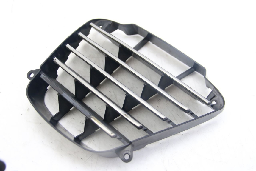 photo de RADIATOR GRILLE PIAGGIO MP3 125 (2006 - 2014)