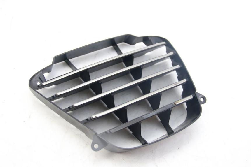 photo de RADIATOR GRILLE PIAGGIO MP3 125 (2006 - 2014)