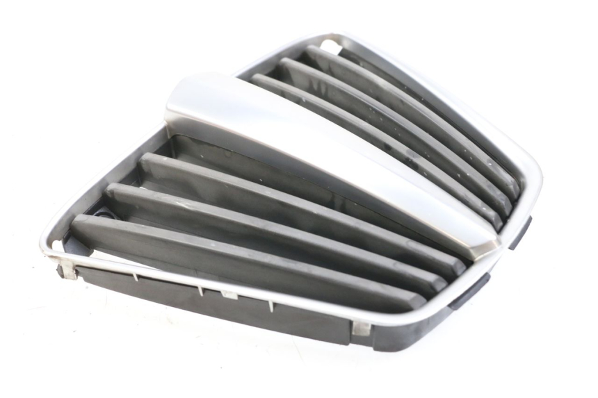 photo de RADIATOR GRILLE PIAGGIO MP3 125 (2006 - 2014)