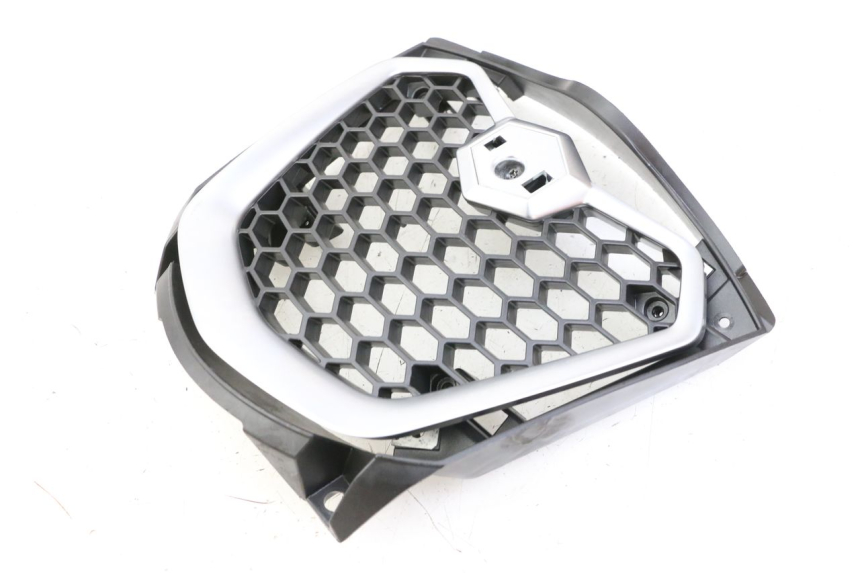 photo de RADIATOR COVER PIAGGIO MP3 500 (2014 - 2016)