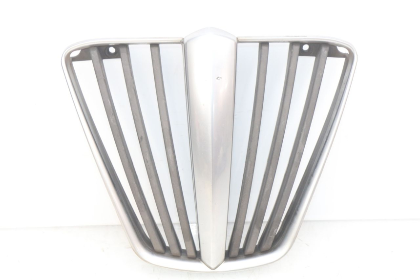 photo de RADIATOR GRILLE PIAGGIO MP3 LT 400 (2007 - 2012)