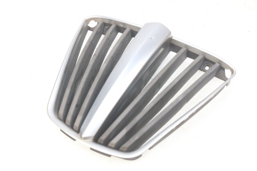 photo de RADIATOR GRILLE PIAGGIO MP3 LT 400 (2007 - 2012)