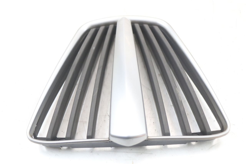 photo de RADIATOR GRILLE PIAGGIO MP3 LT 400 (2007 - 2012)