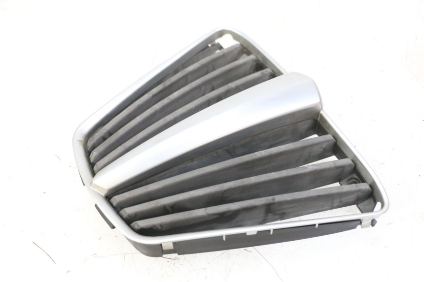 photo de RADIATOR GRILLE PIAGGIO MP3 LT 400 (2007 - 2012)