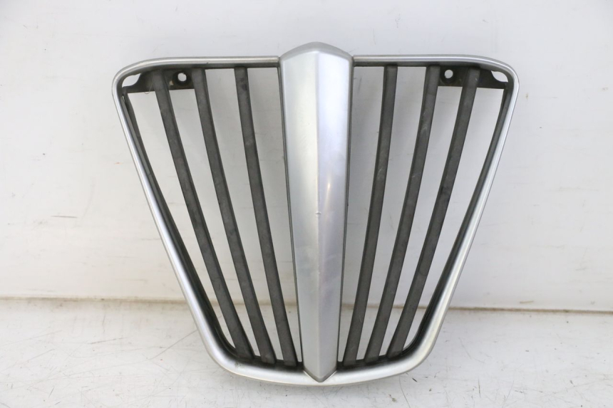photo de RADIATOR GRILLE PIAGGIO MP3 LT 400 (2007 - 2012)