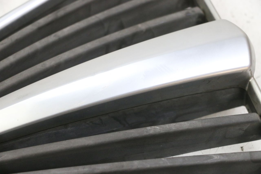 photo de RADIATOR GRILLE PIAGGIO MP3 LT 400 (2007 - 2012)