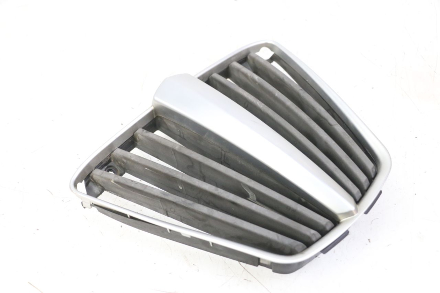 photo de RADIATOR GRILLE PIAGGIO MP3 LT 400 (2007 - 2012)