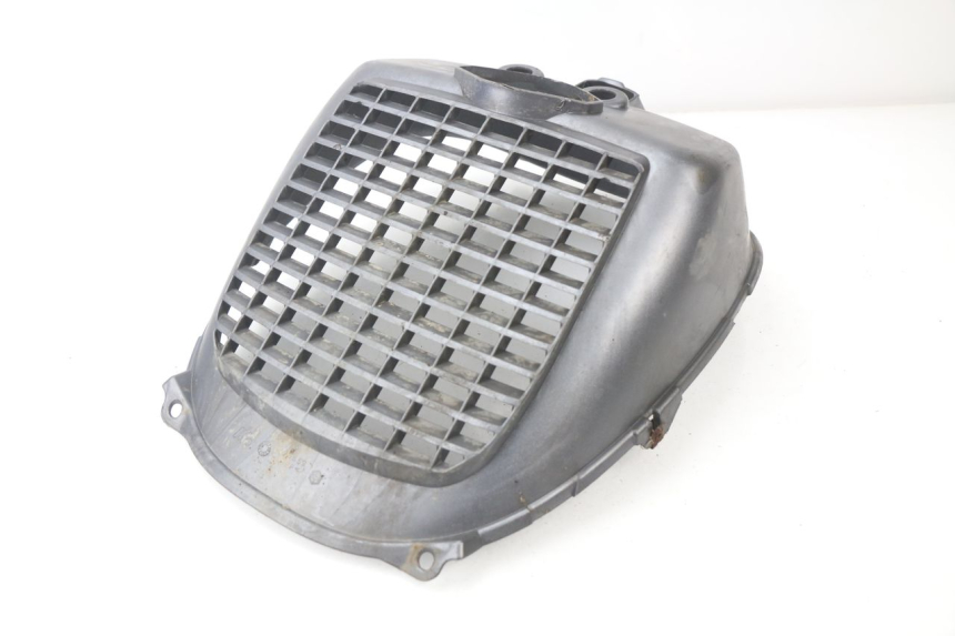 photo de RADIATOR COVER PIAGGIO X9 125 (2000 - 2003)