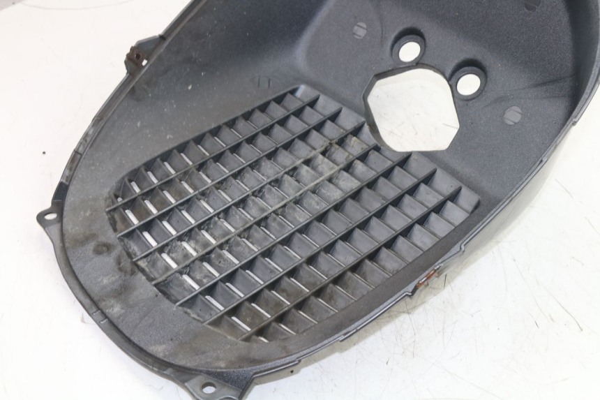 photo de RADIATOR COVER PIAGGIO X9 125 (2000 - 2003)