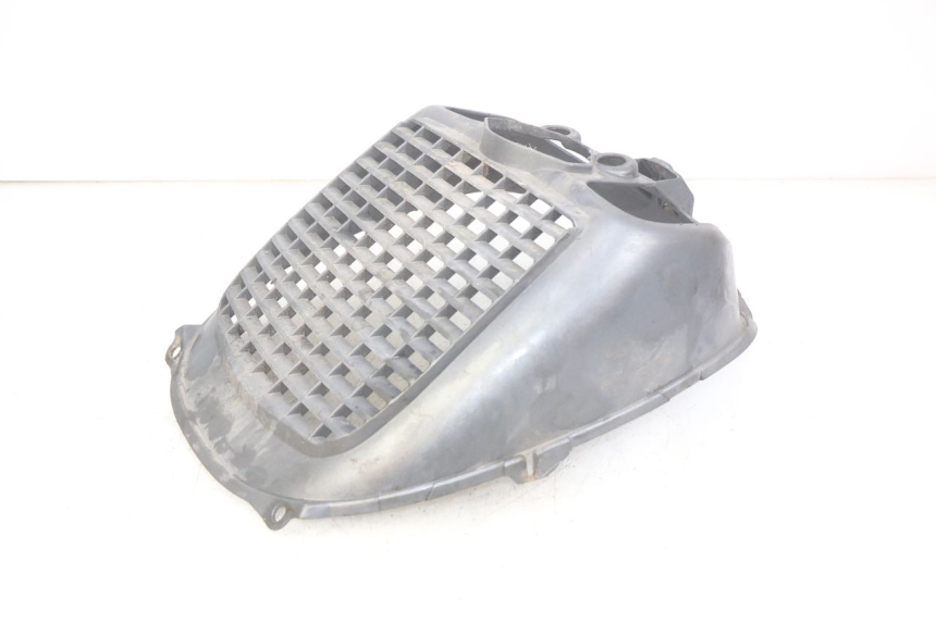 photo de RADIATOR GRILLE PIAGGIO X9 EVOLUTION 125 (2003 - 2007)