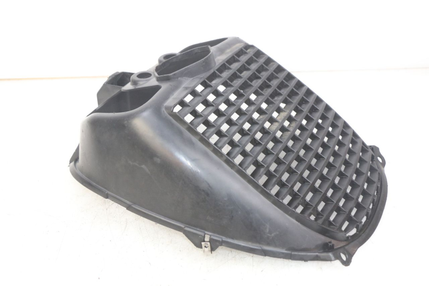 photo de RADIATOR GRILLE PIAGGIO XEVO - X EVO 125 (2007 - 2016)