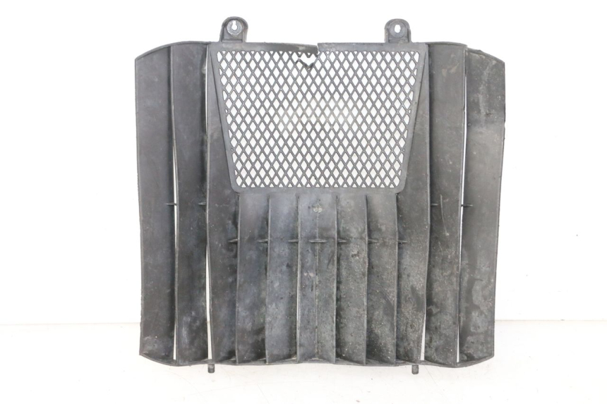 photo de RADIATOR COVER KTM SUPERENDURO R 950 (2005 - 2009)