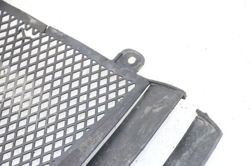 photo de RADIATOR COVER KTM SUPERENDURO R 950 (2005 - 2009)