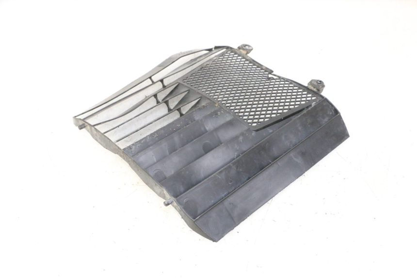 photo de RADIATOR COVER KTM SUPERENDURO R 950 (2005 - 2009)
