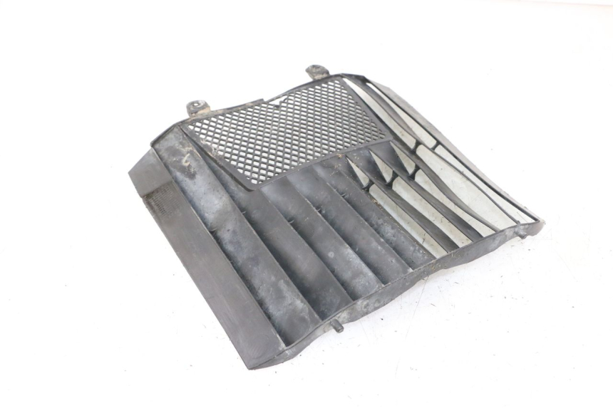 photo de RADIATOR COVER KTM SUPERENDURO R 950 (2005 - 2009)
