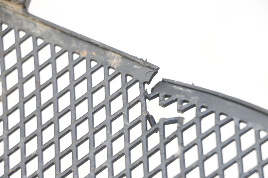 photo de RADIATOR COVER KTM SUPERENDURO R 950 (2005 - 2009)