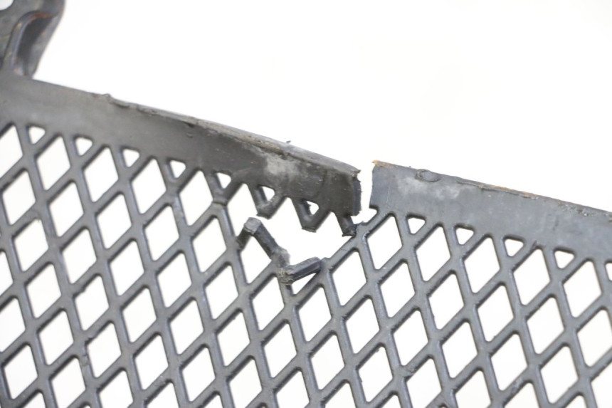 photo de RADIATOR COVER KTM SUPERENDURO R 950 (2005 - 2009)