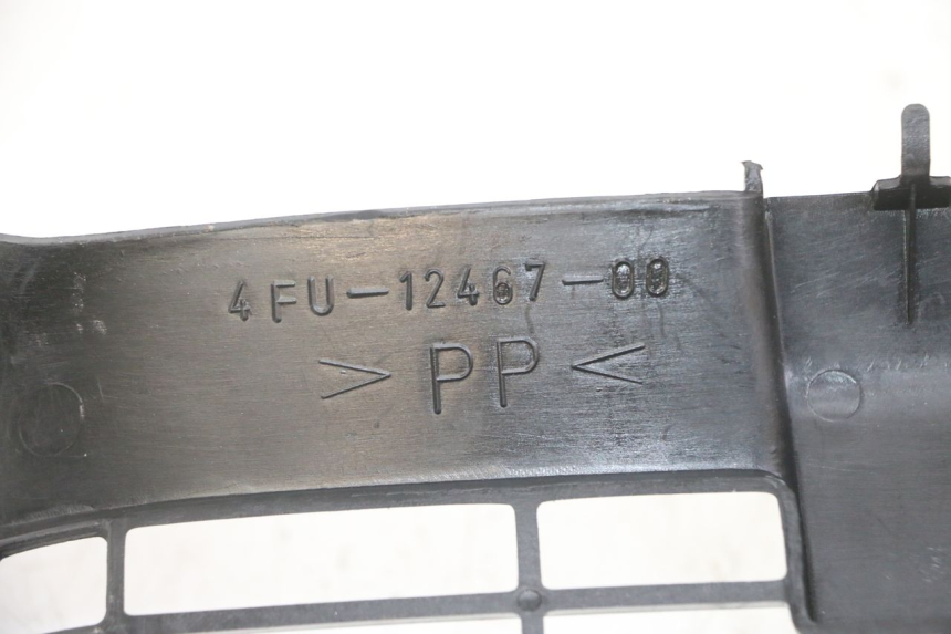 photo de RADIATOR COVER YAMAHA TDR DELTABOX 125 (1993 - 2003)