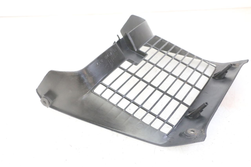 photo de RADIATOR COVER YAMAHA TDR DELTABOX 125 (1993 - 2003)