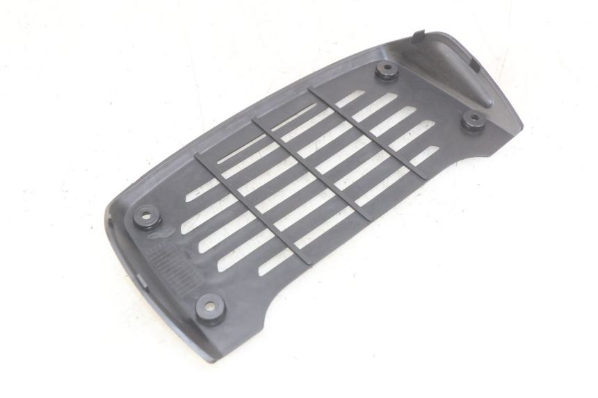 photo de RADIATOR GRILLE DAELIM VJ ROADWIN FI 125 (2008 - 2017)