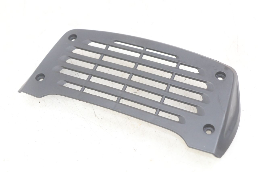 photo de RADIATOR GRILLE DAELIM VJ ROADWIN FI 125 (2008 - 2017)