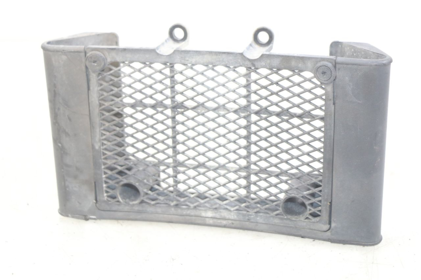 photo de RADIATOR GRILLE DAELIM VL DAYSTAR 125 (2000 - 2011)