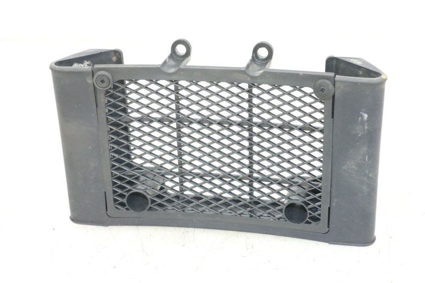 photo de RADIATOR GRILLE DAELIM VL DAYSTAR 125 (2000 - 2011)