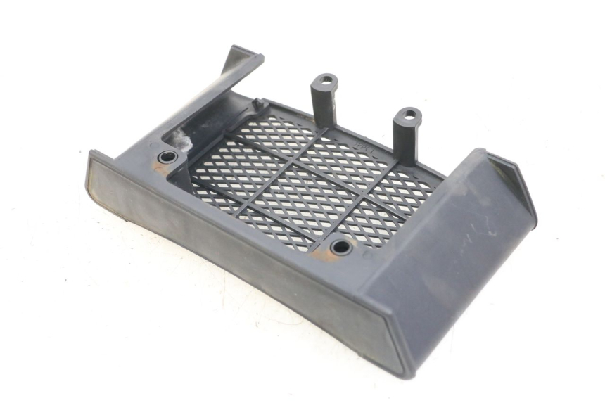 photo de RADIATOR GRILLE DAELIM VL DAYSTAR 125 (2000 - 2011)