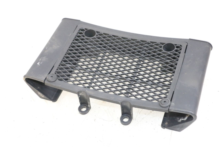 photo de RADIATOR GRILLE DAELIM VL DAYSTAR 125 (2000 - 2011)