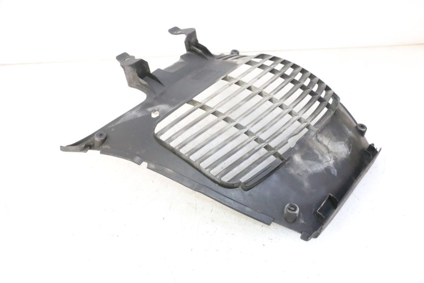 photo de RADIATOR COVER YAMAHA X-CITY XCITY 125 (2007 - 2008)