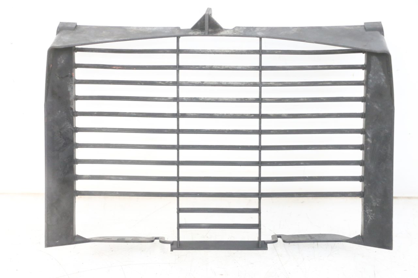 photo de RADIATOR COVER YAMAHA XJ6 ABS 600 (2008 - 2016)