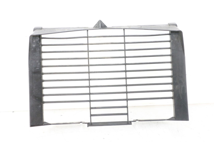 photo de RADIATOR COVER YAMAHA XJ6 ABS 600 (2008 - 2016)