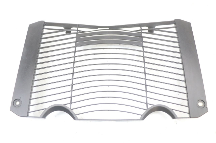 photo de RADIATOR COVER YAMAHA FZ1 FAZER 1000 (2007 - 2009)