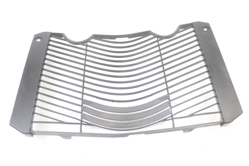 photo de RADIATOR COVER YAMAHA FZ1 FAZER 1000 (2007 - 2009)