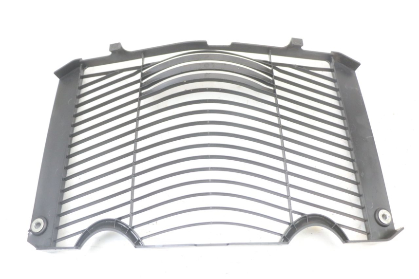 photo de RADIATOR COVER YAMAHA FZ1 FAZER 1000 (2007 - 2009)