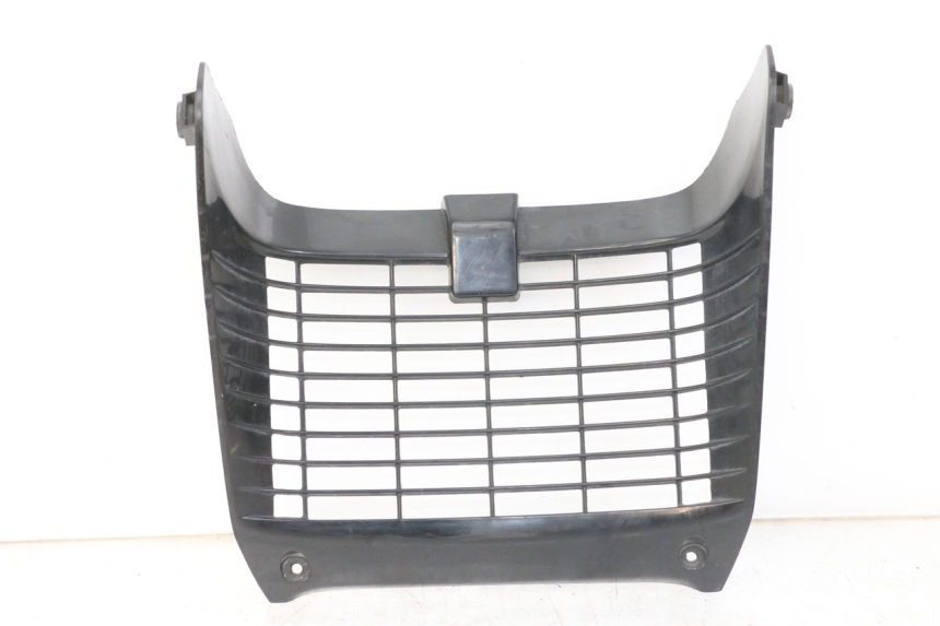 photo de RADIATOR COVER YAMAHA TDR DELTABOX 125 (1993 - 2003)