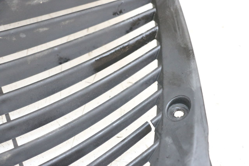 photo de RADIATOR GRILLE YAMAHA X-MAX XMAX 250 (2006 - 2009)