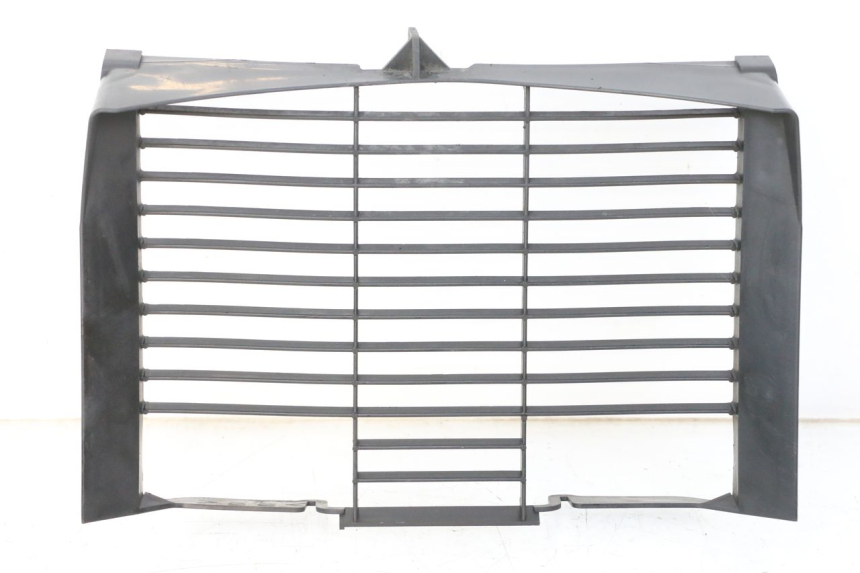 photo de RADIATOR COVER YAMAHA XJ6 600 (2008 - 2016)