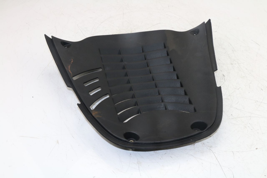 photo de RADIATOR COVER YAMAHA YP MAJESTY 125 (2007 - 2010)