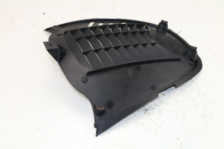 photo de RADIATOR COVER YAMAHA YP MAJESTY 125 (2007 - 2010)